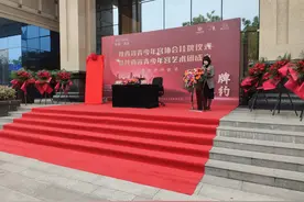 陕西省青少年宫协会挂牌暨陕西省青少年宫艺术团成立图片