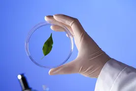 算命、催眠、测谎？点击文章就看科学的心理学究竟在研究什么图片