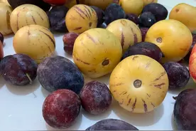 秋天被网评“最难吃”的3种水果，都能吃下，我敬你是条“汉子”图片