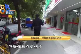 “大鸟”摔到店门口，好心老板收留并报警，确认是保护动物图片