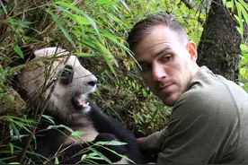 全球233个国家，为什么只有中国可以拥有“大熊猫”？图片