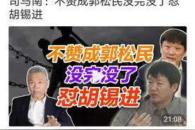 司马南的俯仰之道图片