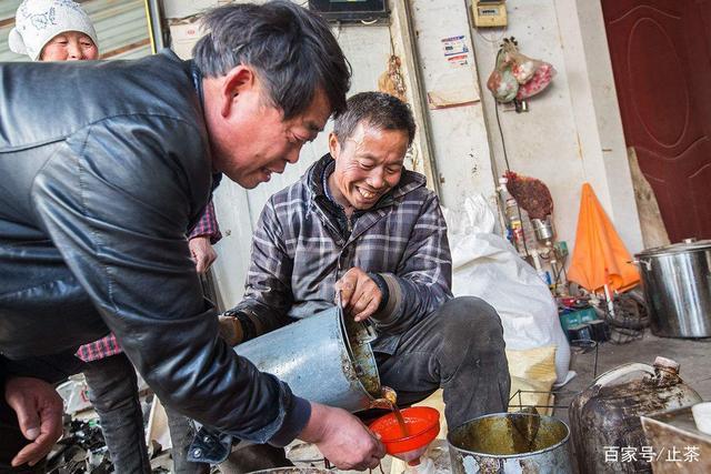 棉籽油到底能不能吃（为什么人们都不喜欢吃棉籽油）