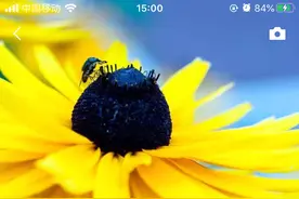 你每天在刷的朋友圈，上线了新功能图片