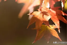 不管是夫妻还是情人，当男人只愿意给你这些东西的时候，别再纠缠图片