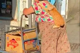 老远看见大妈身后趴着啥，凑近一瞧有些担心：不怕掉下去吗？图片