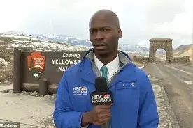 美国记者直播时瞄到野牛正在走来，吓得悄悄溜了，搞笑的表情火了图片