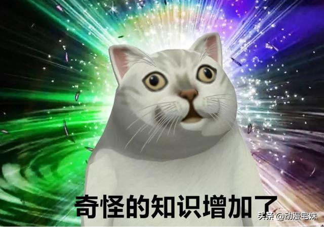 那些年课本中的梗，你都get到了吗？