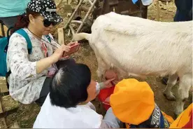 驴奶马奶羊奶，谁更适合宝宝？与价格无关，家长要认准3种营养素图片