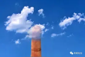 我的奇葩老妈图片