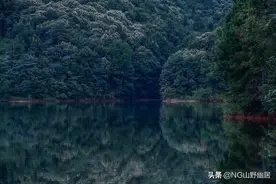 皖东南最大的度假山庄：田园别墅颇具特色，江浙沪度假后花园图片