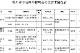 德州市启动残疾人专场网络招聘会图片