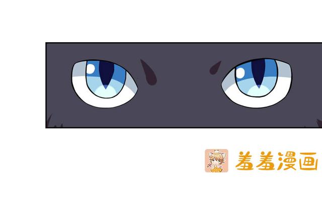 夜路走多了，竟捡到宝，带着巨钻的小黑猫一只