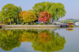 层林尽染，美不胜收！石家庄市植物园秋色灿烂等你来图片