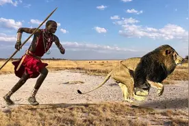 为何作为草原之王的狮子，会害怕马赛人？请看下马赛人的段位图片