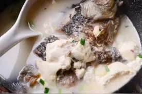抗白六年经历，分享几道简单易做，化疗后生白细胞菜谱(经验分享)图片