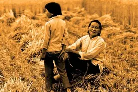 八十年代割麦子，田间吃的“晌午饭”，你还记得是什么吗？图片