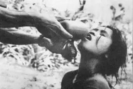越南战争中，美军使用的“空孕催乳剂”，为何令越南女兵痛不欲生图片