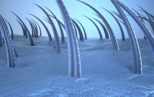 发质受损太严重？不妨试试发膜吧