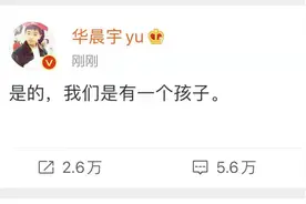 华晨宇承认与张碧晨未婚生女，家有银矿生意，其大伯曾涉贪污1.9亿图片