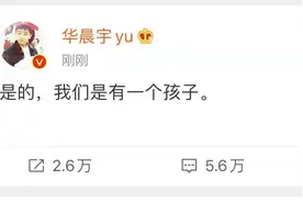 华晨宇承认与张碧晨未婚生女，家有银矿生意，其大伯曾涉贪污1.9亿图片