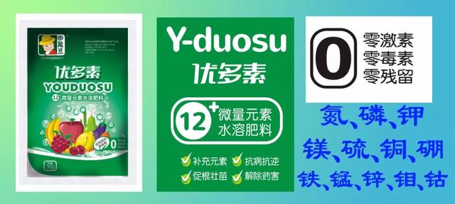 柑桔园缺素预警图，一起来认一认