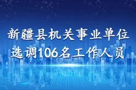 【新疆选调】2020年新疆伊犁州特克斯县机关单位选调106名图片