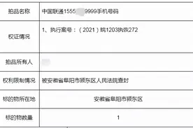 15555XX9999，阜阳这个手机号卖了这么多钱！77777777能抵几套房图片