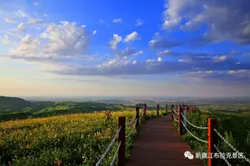 旅游矩阵 | 相约鲜花绽放的江布拉克图片