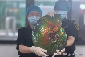 10亿头发，15万龙袍，人血样本…海关都查验过哪些奇葩违禁物品？图片