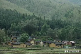 知青老包：我的香兰，婚后过得并不如意，有件事为何欲言又止图片