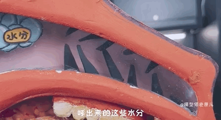 骆驼的驼峰竟然不是用来存水的？那它靠啥在沙漠里笑嘻嘻？