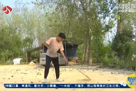 「和你在一起·萤火虫操场」校长陪留守娃打乒乓球！是老师，也是“山爸”图片