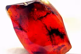 世界琥珀看波罗的海，中国琥珀看抚顺，浅析抚顺琥珀图片