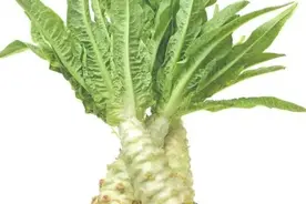 四种寄生虫成堆的蔬菜，宁愿不吃，也不想去碰，很多人还在天天吃图片
