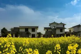“合村并镇”大势所趋，专家说是时候全面推行了，你怎么看？图片