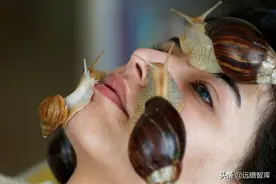 胶原蛋白：基因重组是未来发展趋势，广泛应用医药、护肤和食品业图片