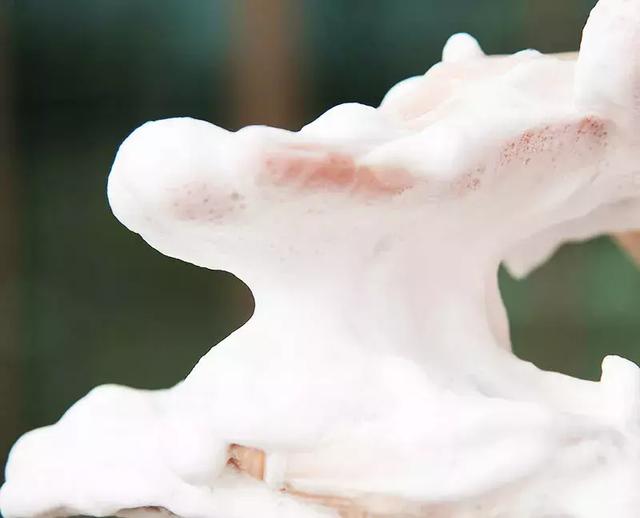 你的洗面奶上黑名单了吗？最“毁脸”的竟然是这6款...