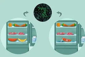 猪肉放在冰箱里，多长时间后不宜食用？希望您心中有数图片