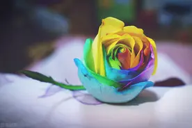 和中年男人约会聊天，需警惕这些语言信号图片