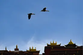 仓央嘉措的爱情绝唱图片