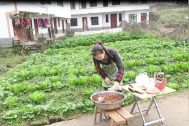 手把手教你制作四川豆豉，方法简单口味独特，一学就会视频封面