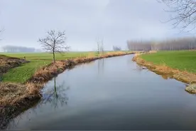 刘奇武 卢旺兴：岳阳城东南有条迷人的北港河，南湖水更让人无比陶醉图片