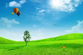 美轮美奂！2020年山东省菏泽市中考作文参考范文《景致》图片