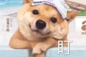 学计算机专业的你后悔了吗？图片