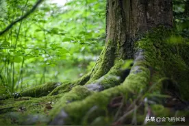 诺贝尔获得者的十佳金句，是智慧之泉，不容我们怱视图片