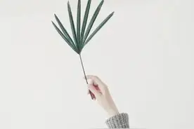 适合收藏的宝藏句子：请成为永远疯狂永远浪漫永远清澈的存在。图片