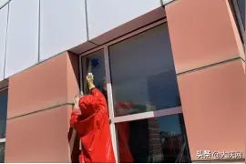 7月份以来14个求助电话打到消防部门！马蜂为啥在市区安家？遇到马蜂窝咋办？我市消防部门这样说↘图片