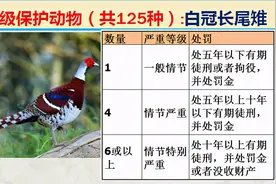 国家最新125类二级野生保护名录，图片及违法对应刑责图片