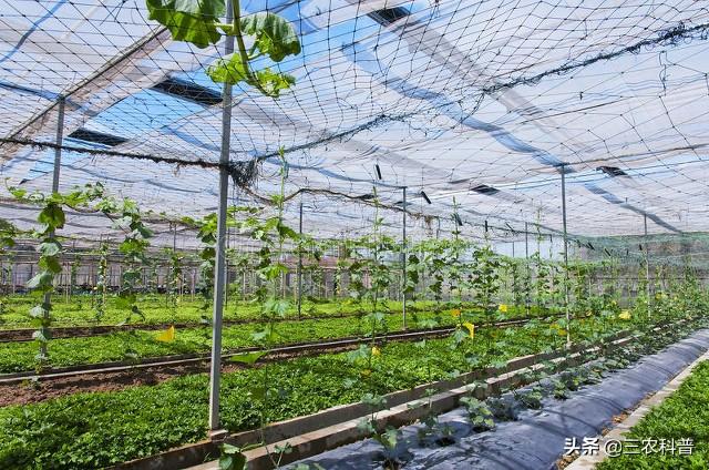 姘ㄥ熀閰告槸涓ソ涓滆タ锛屽啘鎴峰嵈涓嶄細閫夛紝娴垂浜嗗緢澶氶挶锛屽浜ч噺涔熸湁褰卞搷